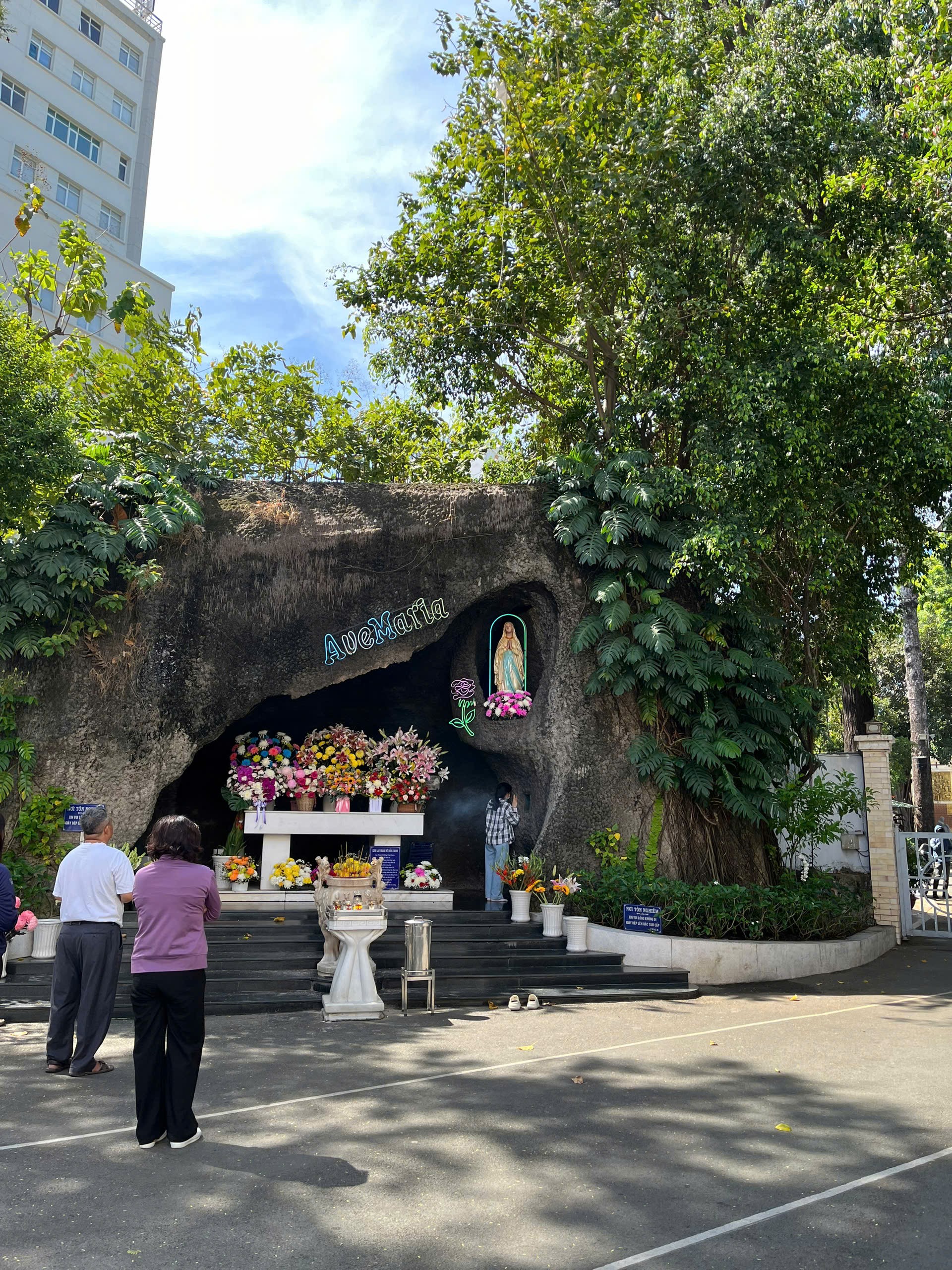Cậy trông